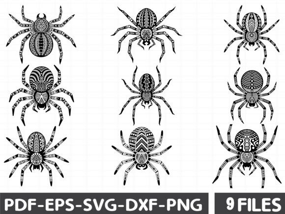 Floral Tarantula: A Review for Graphics and Illustrations Sellers