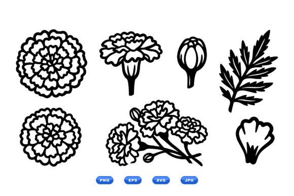 Marigold Floral SVG Clipart: Graphics & Illustrations